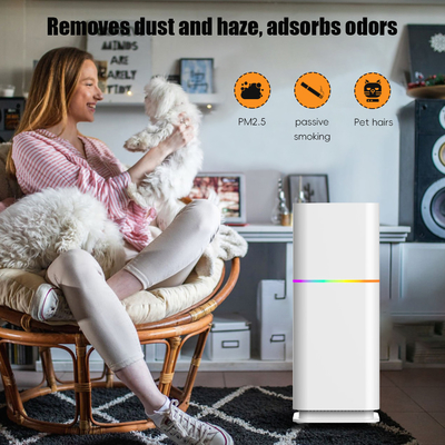 Good price ODM HEPA Καθαριστή σκόνης δωματίου Καθαριστή αέρα κατοικίας 240V Για PM2.5 σε απευθείας σύνδεση